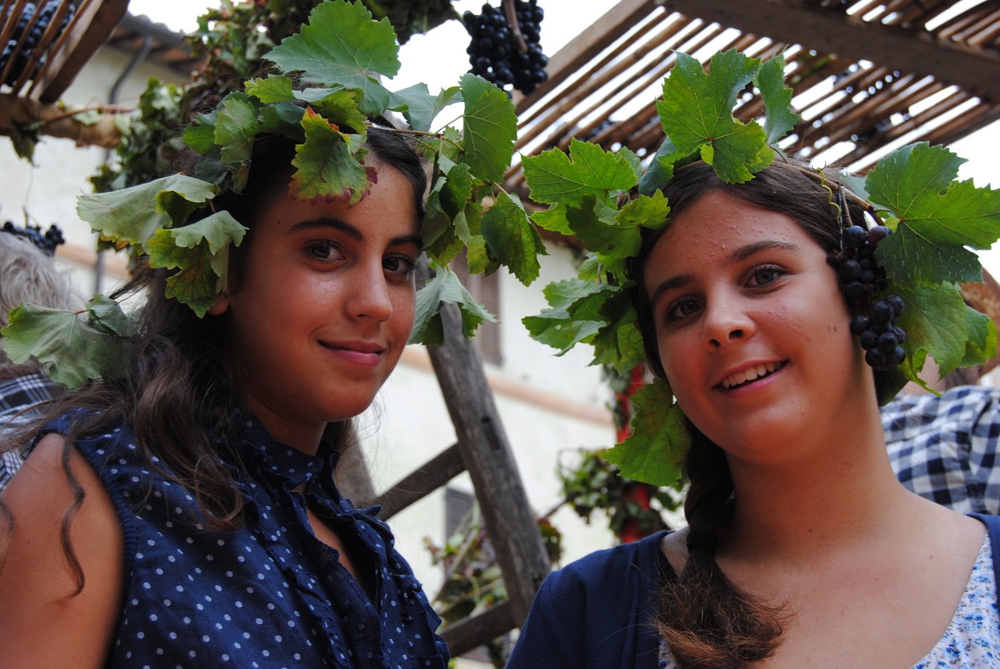 festa della vendemmia 1