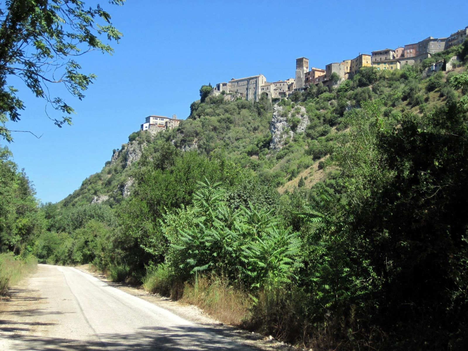 golenera