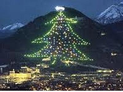 grandealbero