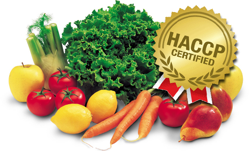 haccp alimentare