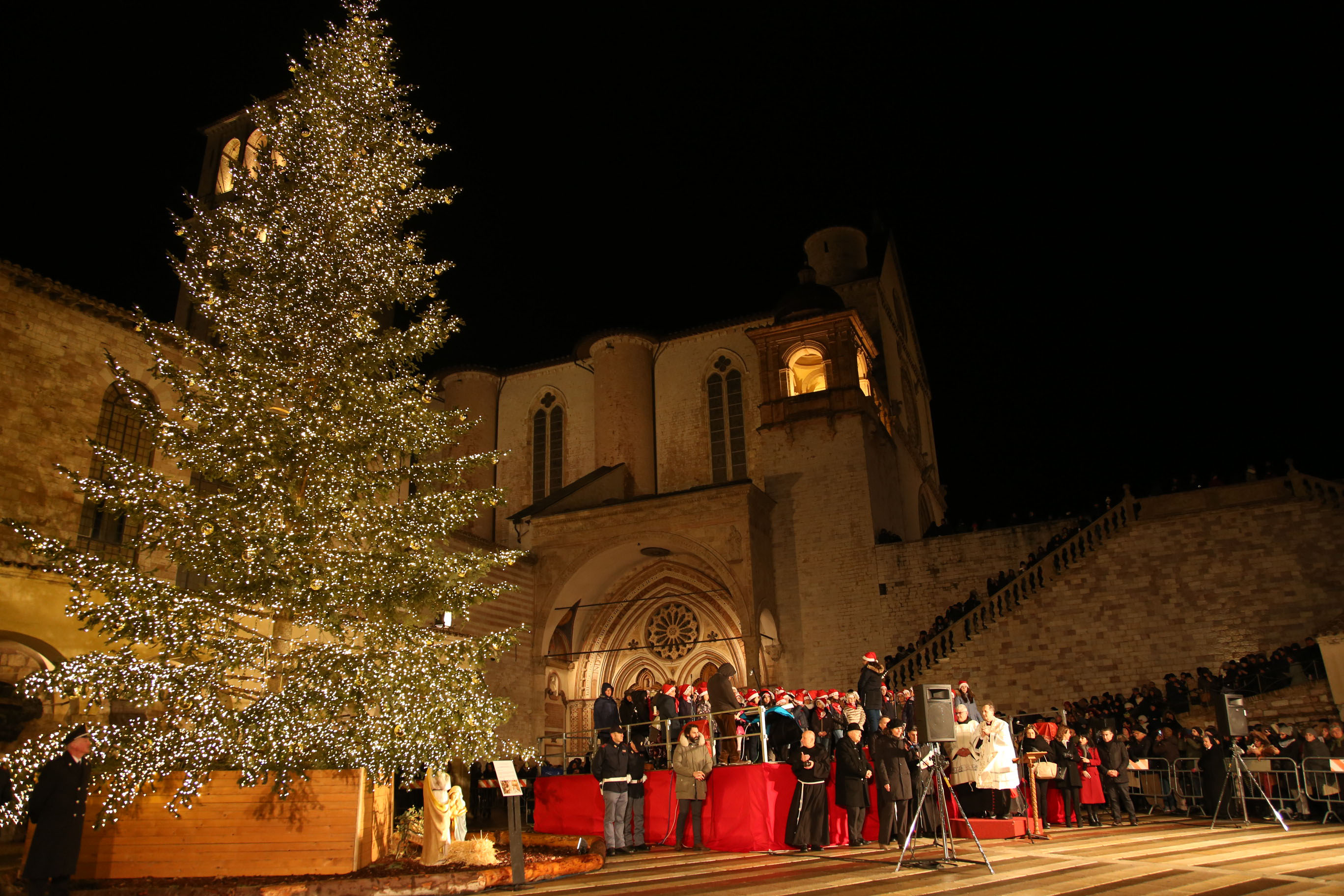 ACCENSIONE ALBERO ASSISI