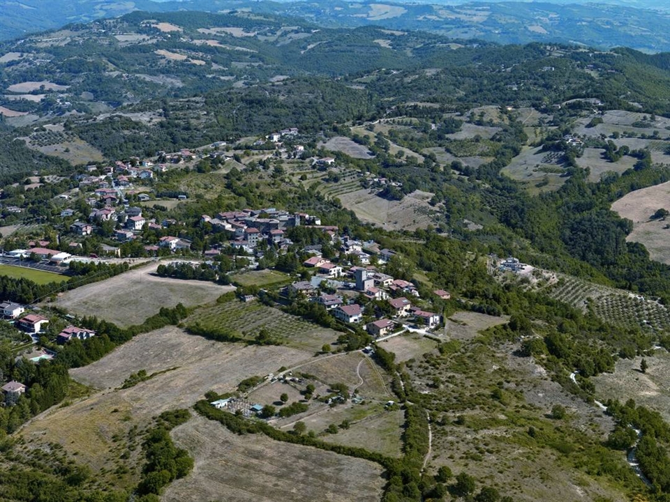 Fratticiola selvatica