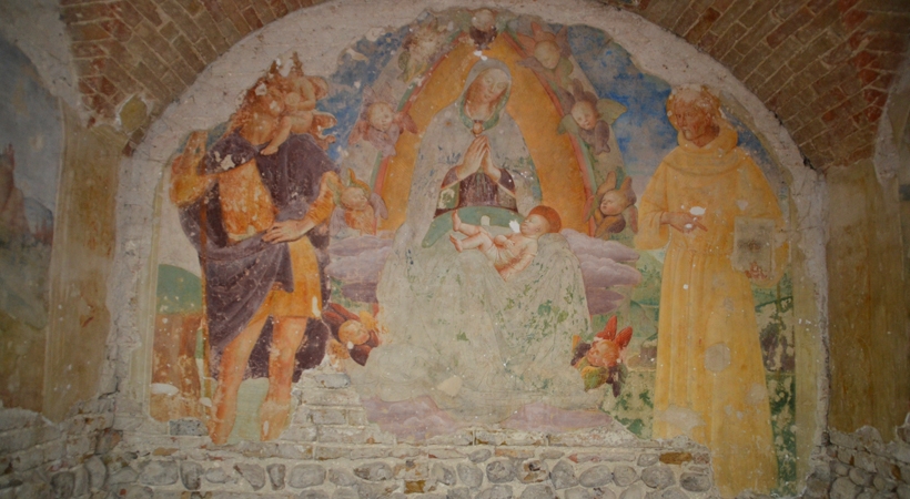 Madonnuccia CiribiferaVg03a