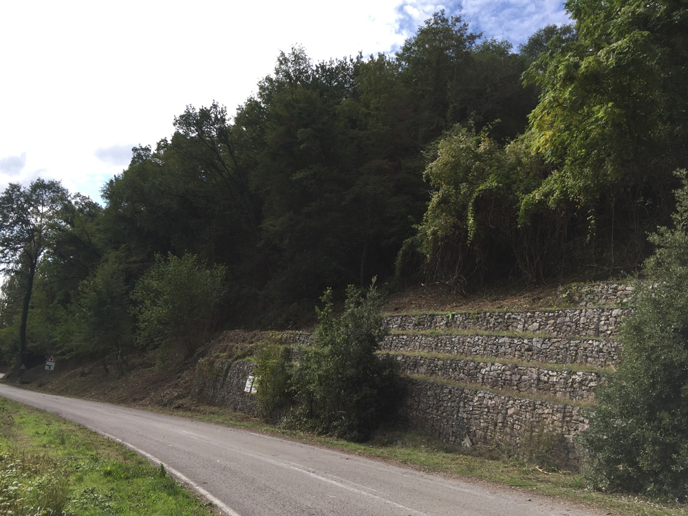 Montone 2 5371