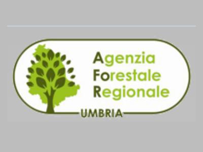 agenziaforestaleregionaaleumbria