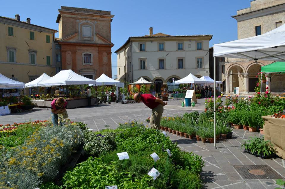 profumo di gemme