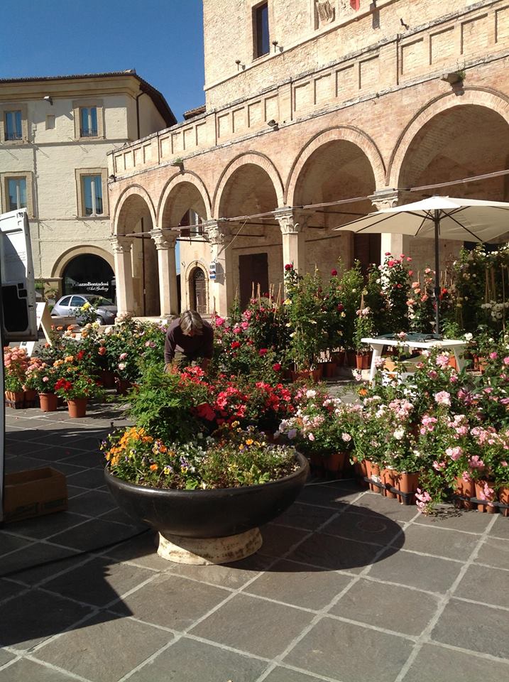 profumo di gemme piazza del comune Montefalco
