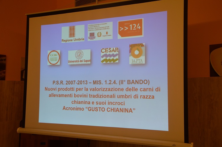progettogusto1