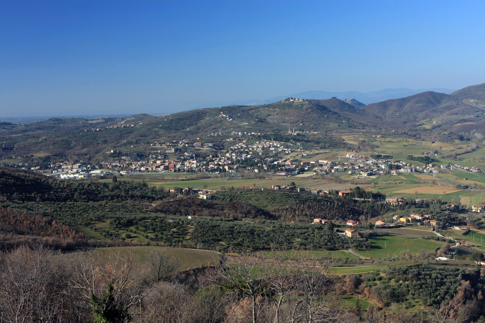 tavernelle