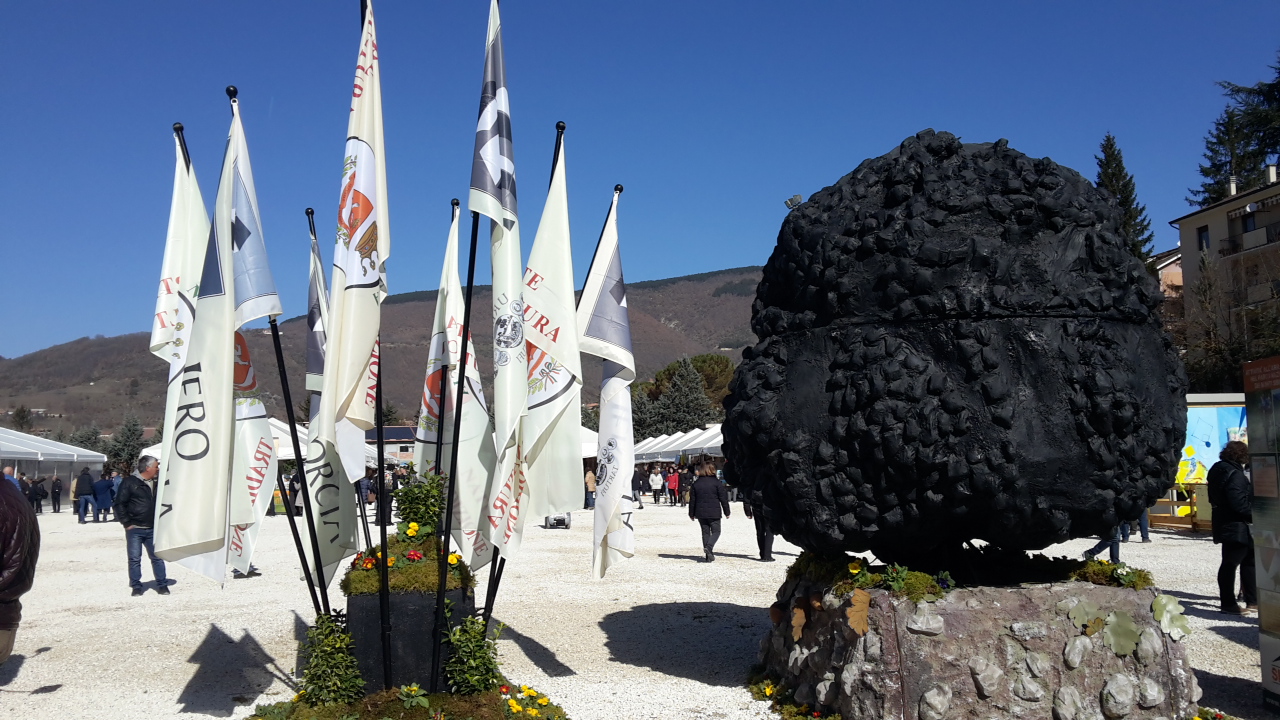 Nero Norcia 2016 4