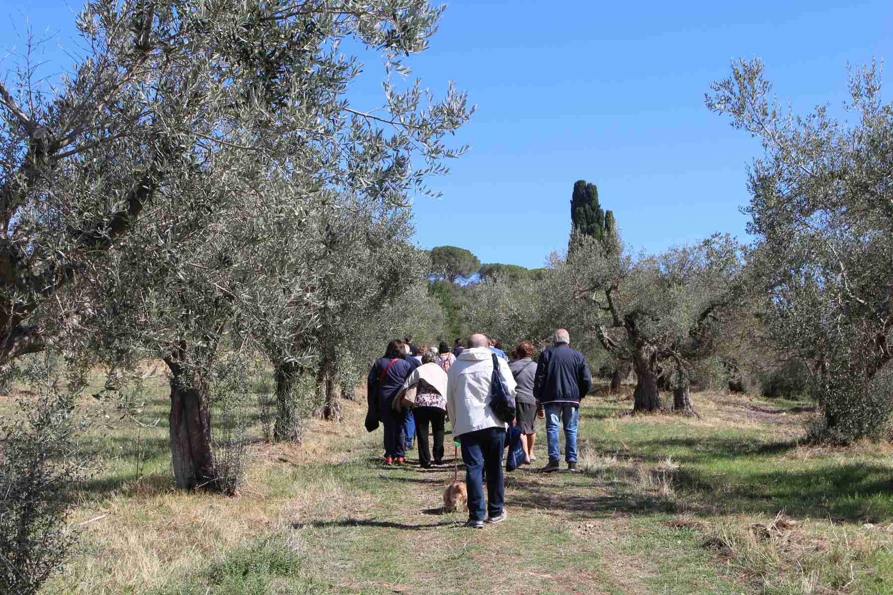passeggiata 2
