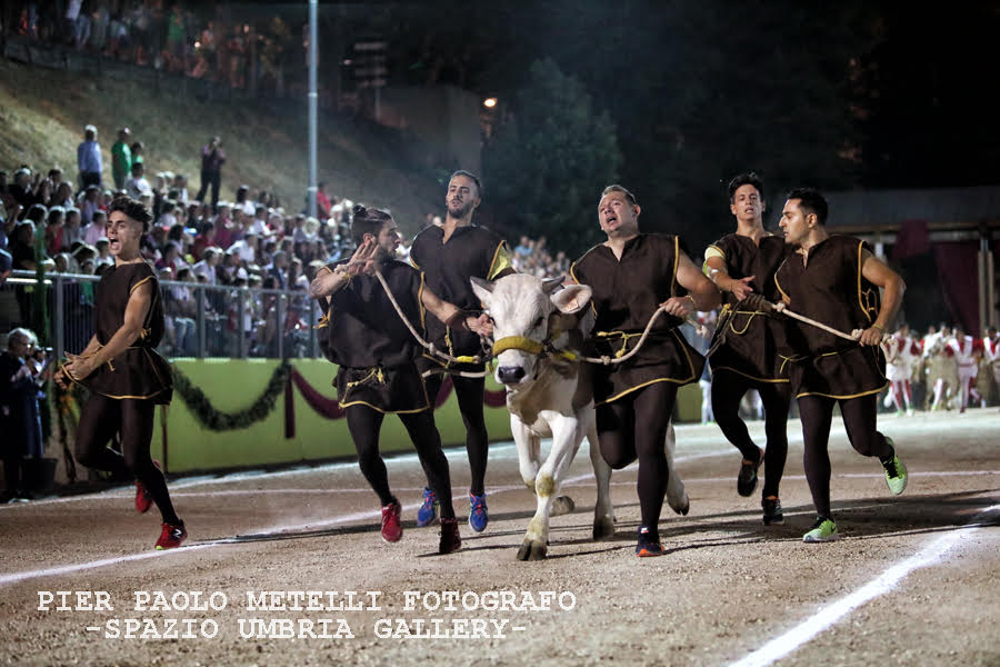san fortunato corsa bovi1
