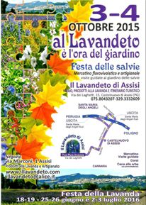 lavandeto1