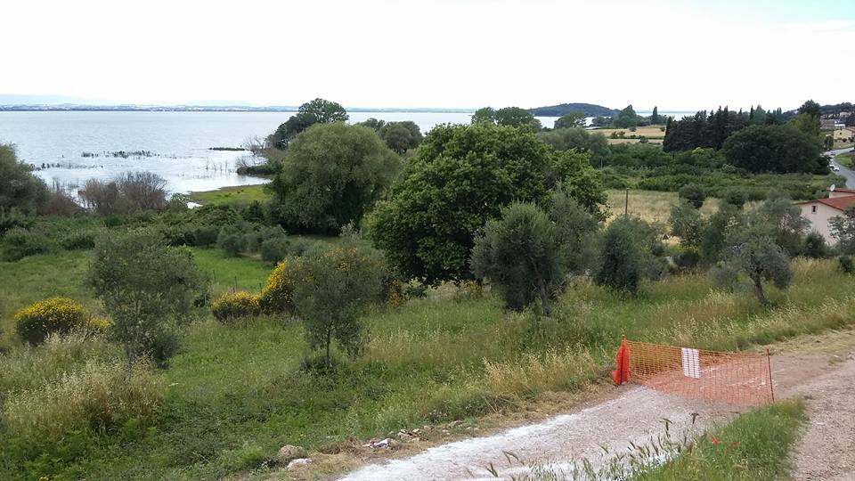 lavori San Savino