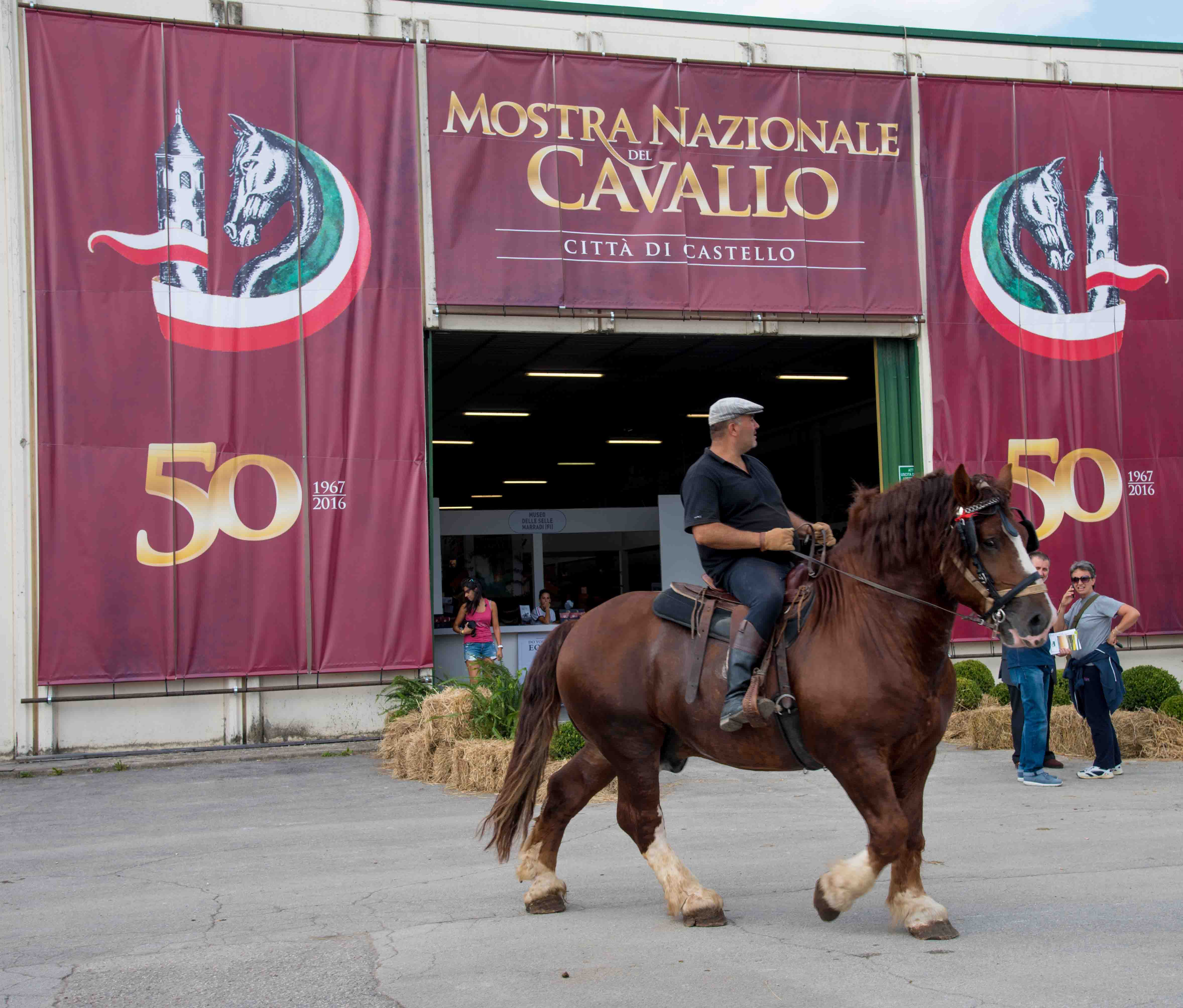 Apertura MostraCavallo