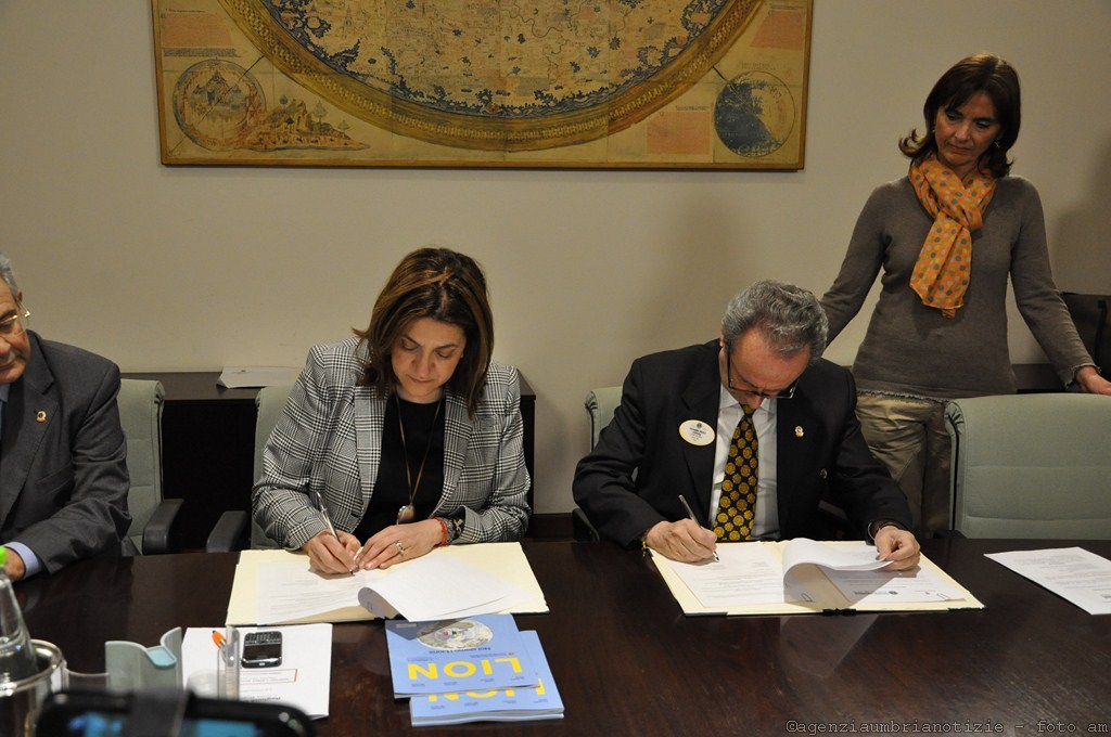 firma lions 1