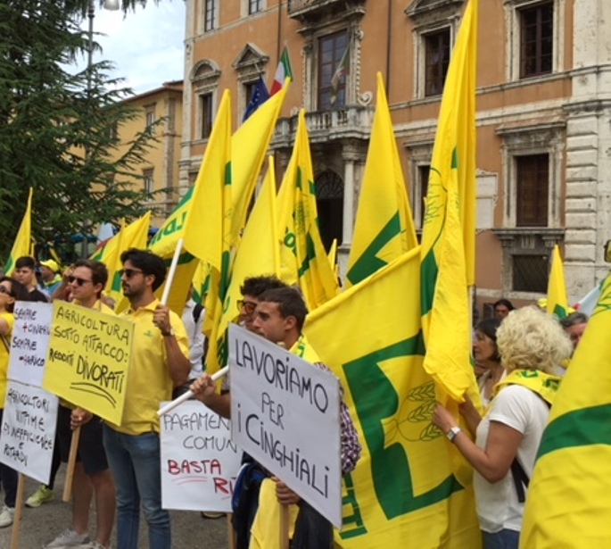 manifestazione