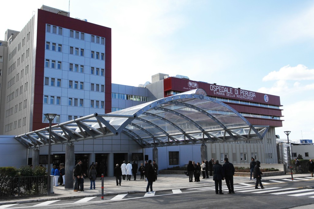 IMG 7774