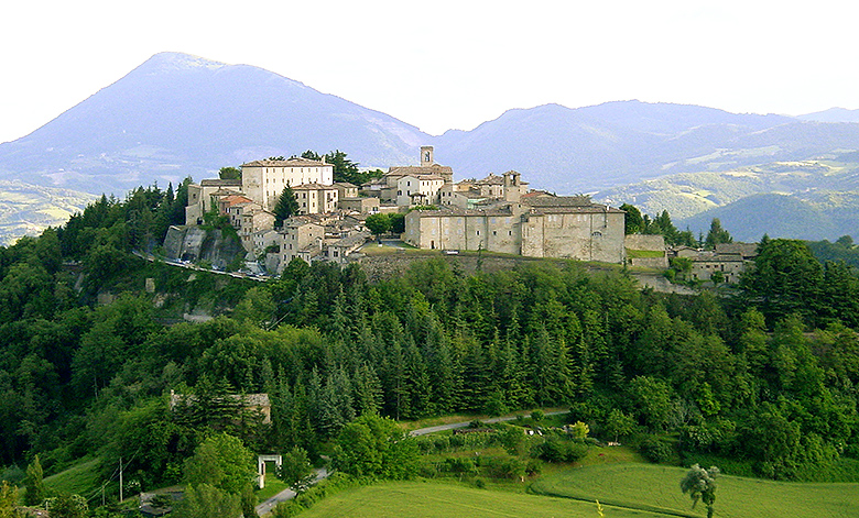 montone