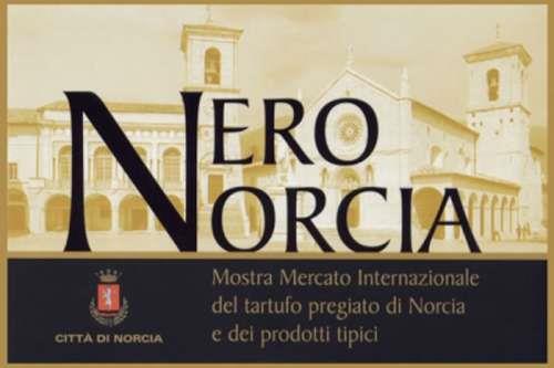 mostra mercato tartufo nero a norcia