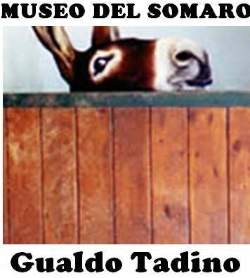 museosomaro