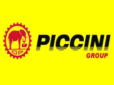 piccinigroup1