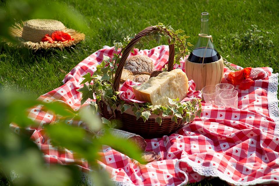 picnic trevi