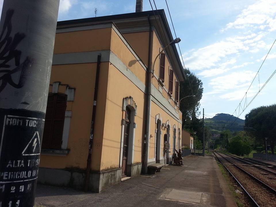 stpf1