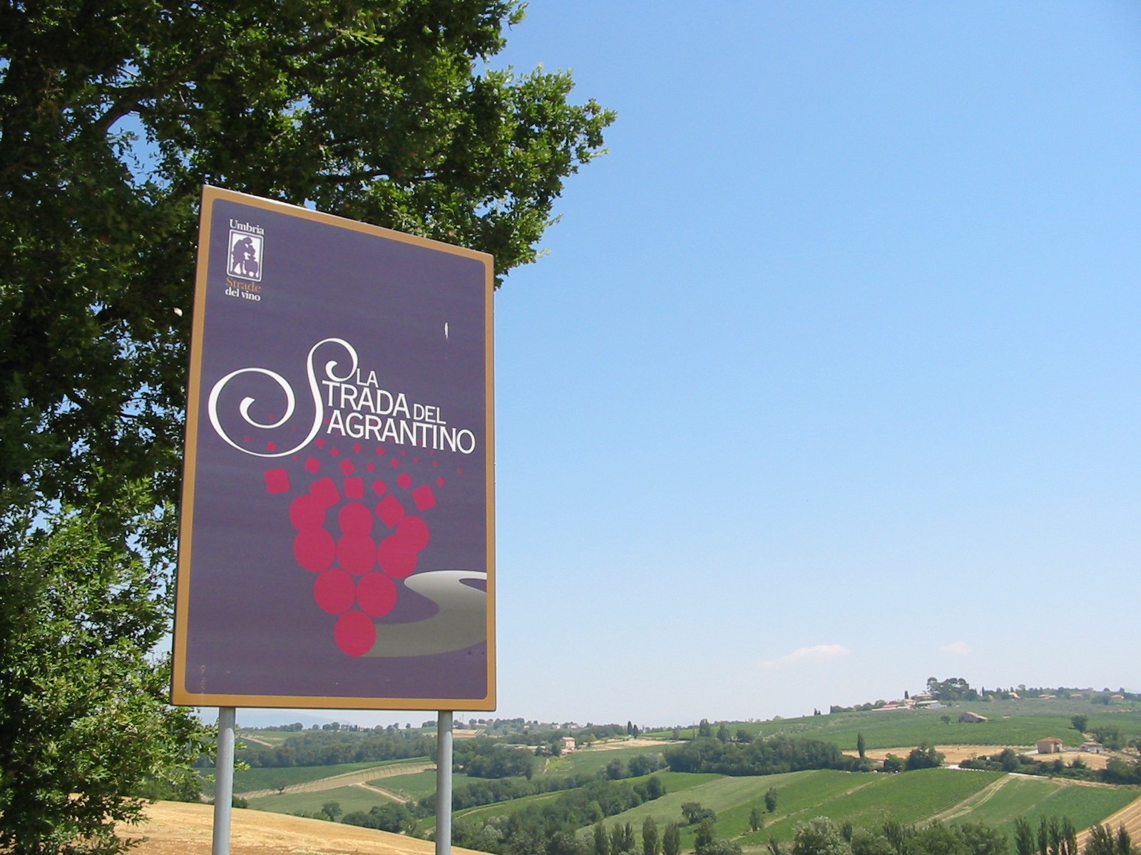 strada del sagrantino