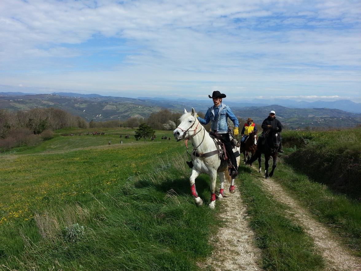 valfabbrica cavallo3