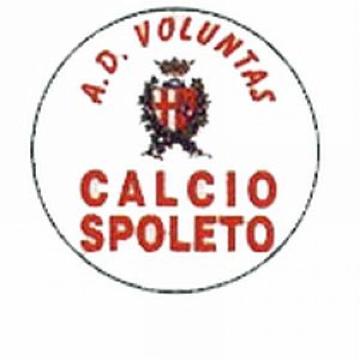 voluntasspoleto